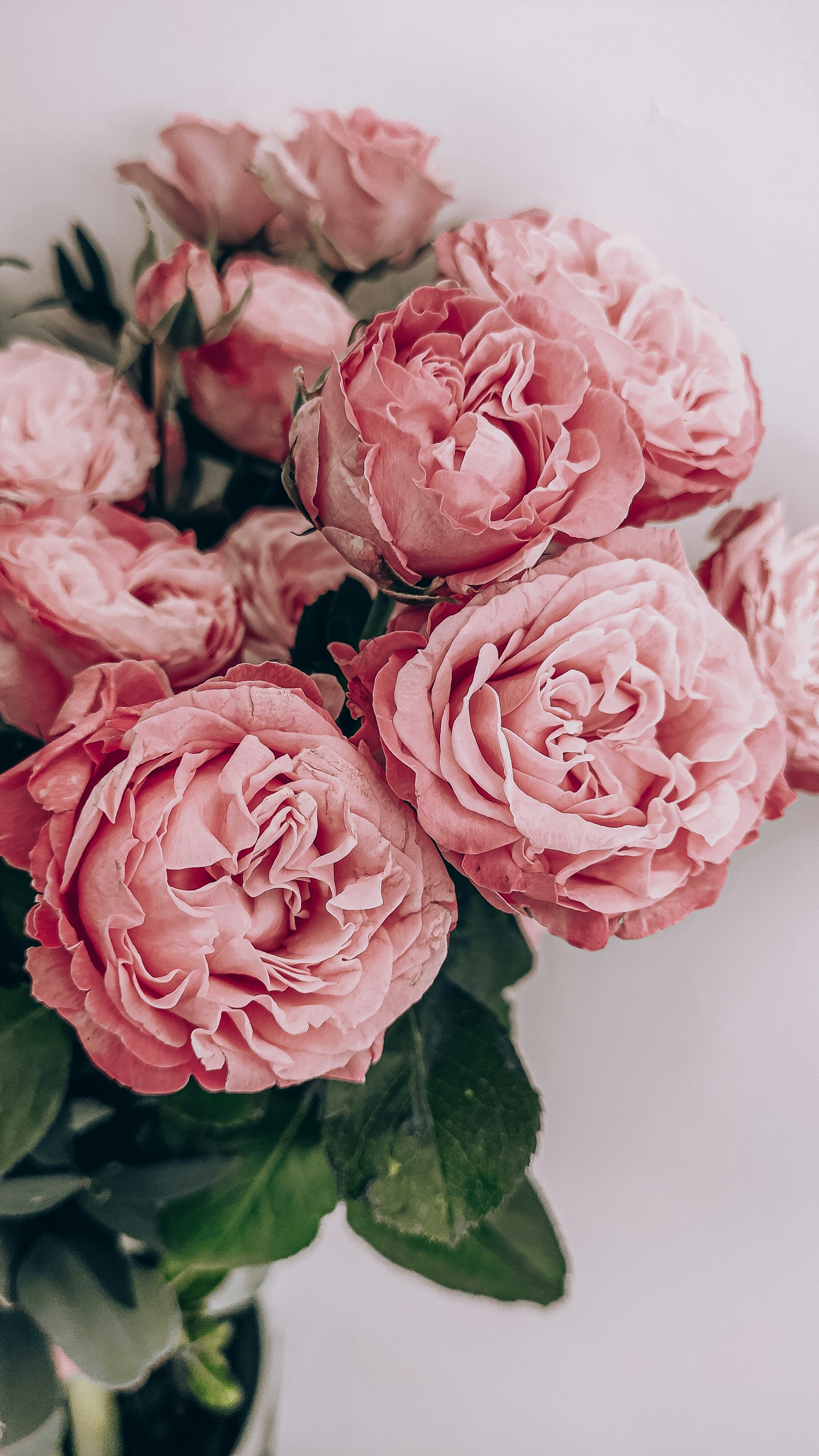 Beautiful flower arrangement